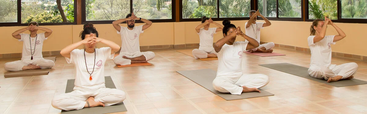 What to Look for in a 300-Hour Yoga Teacher Training Certification Course